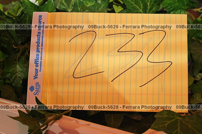 Proof 09buck-5629