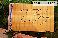 09buck-5629 proof
