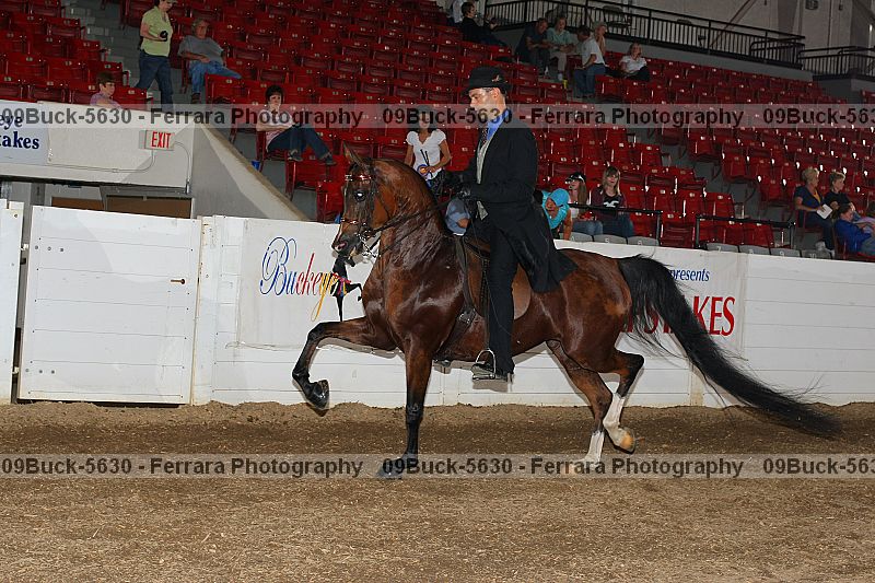 Proof 09buck-5630