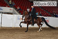 09buck-5630 proof