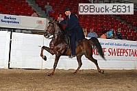09buck-5631 proof