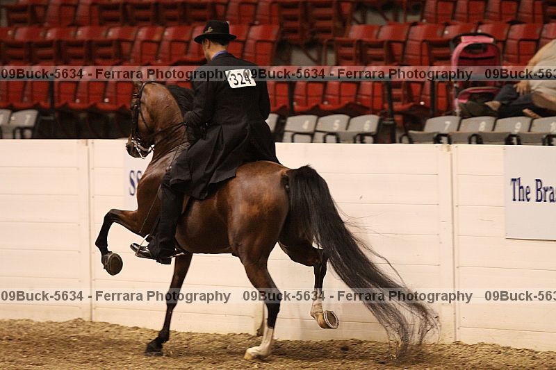 Proof 09buck-5634