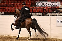 09buck-5634 proof