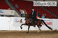 09buck-5635 proof