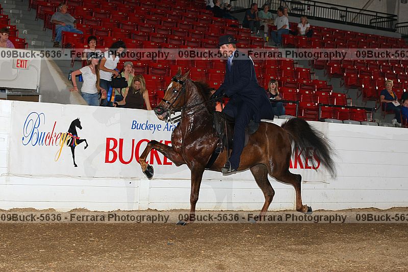 Proof 09buck-5636