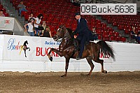 09buck-5636 proof