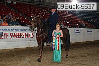 09buck-5637 proof