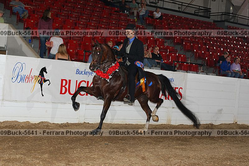 Proof 09buck-5641