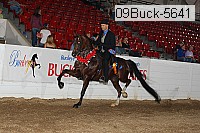 09buck-5641 proof