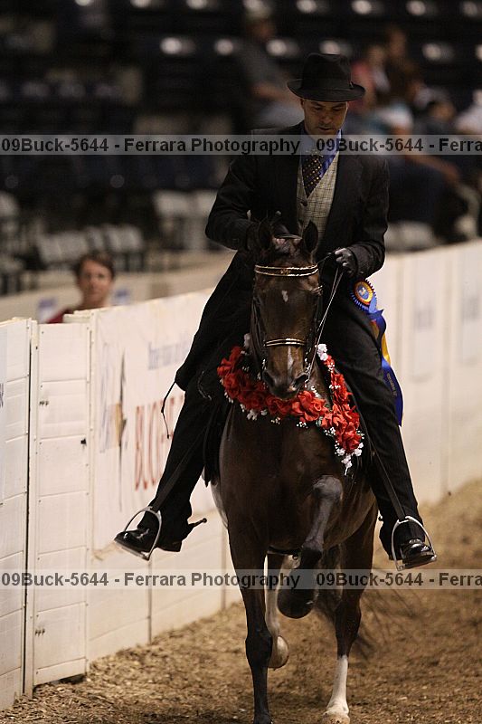Proof 09buck-5644
