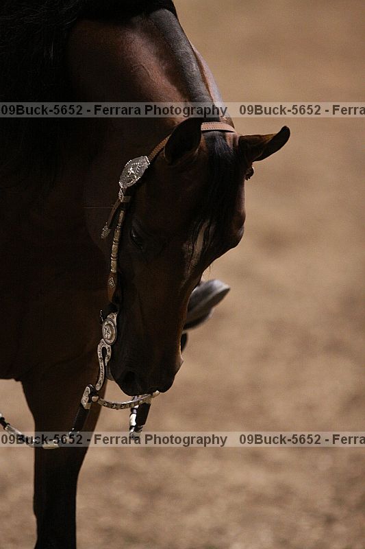 Proof 09buck-5652