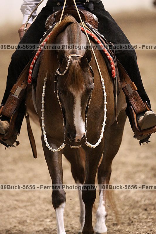 Proof 09buck-5656