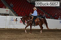 09buck-5657 proof