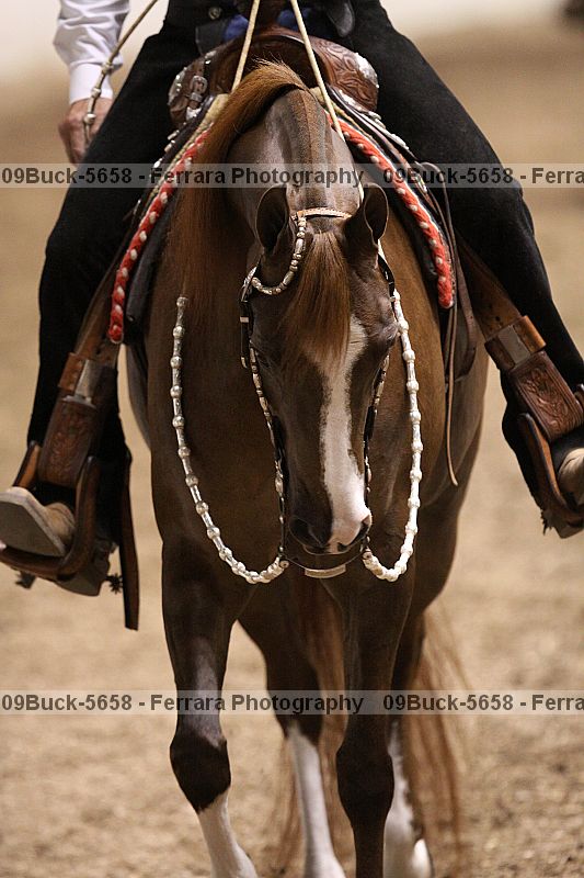 Proof 09buck-5658