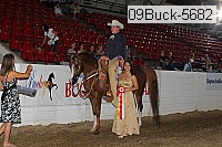 09buck-5682 proof