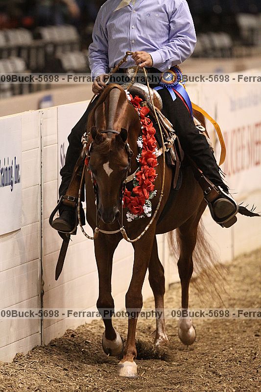 Proof 09buck-5698