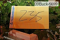 09buck-5699 proof