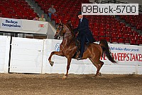 09buck-5700 proof