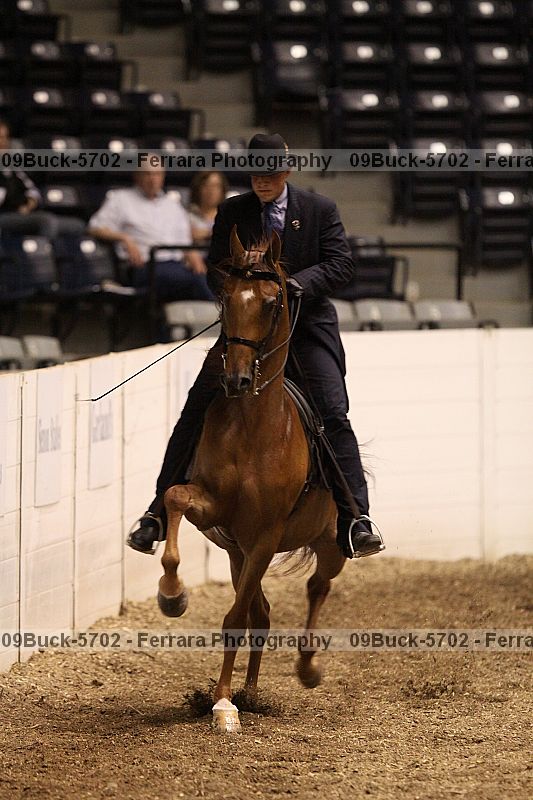 Proof 09buck-5702
