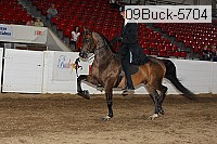09buck-5704 proof