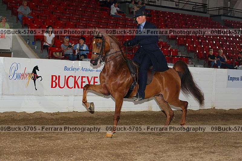 Proof 09buck-5705