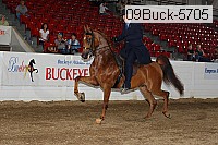 09buck-5705 proof