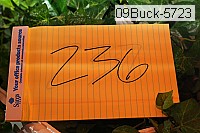 09buck-5723 proof