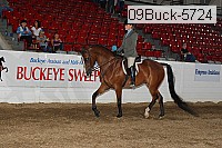 09buck-5724 proof