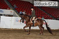 09buck-5726 proof