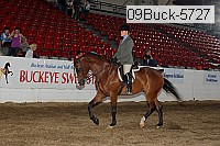 09buck-5727 proof