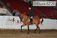 09buck-5729 proof