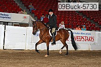 09buck-5730 proof
