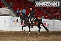 09buck-5731 proof