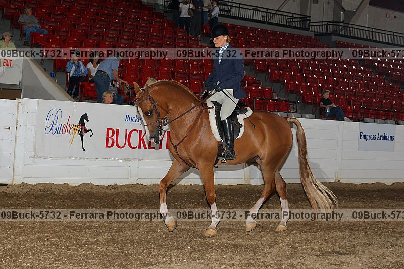 Proof 09buck-5732