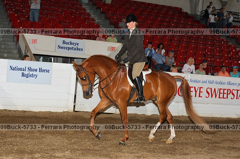 Proof 09buck-5733