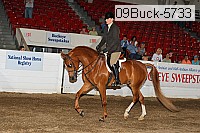 09buck-5733 proof