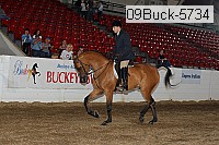 09buck-5734 proof