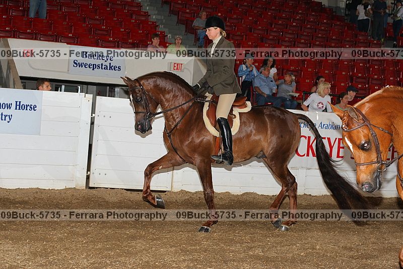 Proof 09buck-5735