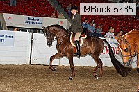 09buck-5735 proof