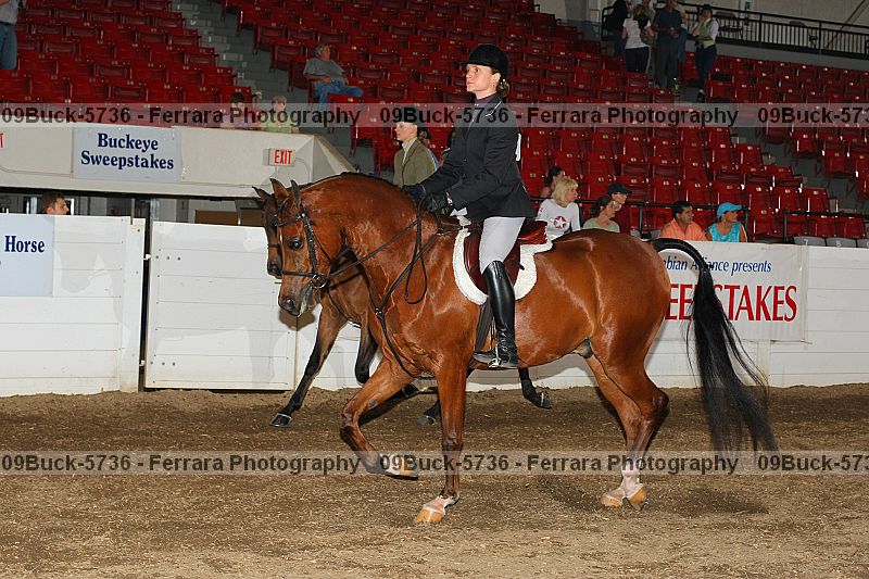 Proof 09buck-5736