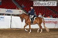09buck-5737 proof