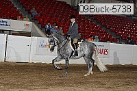 09buck-5738 proof