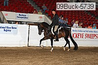 09buck-5739 proof