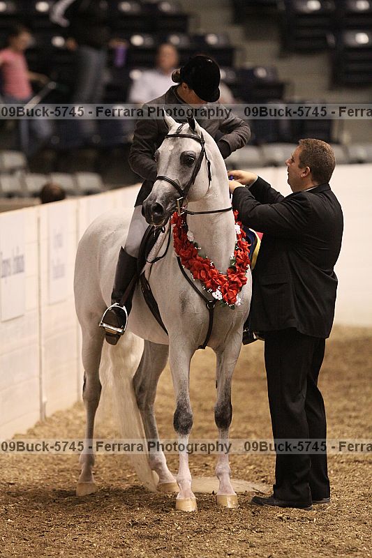 Proof 09buck-5745