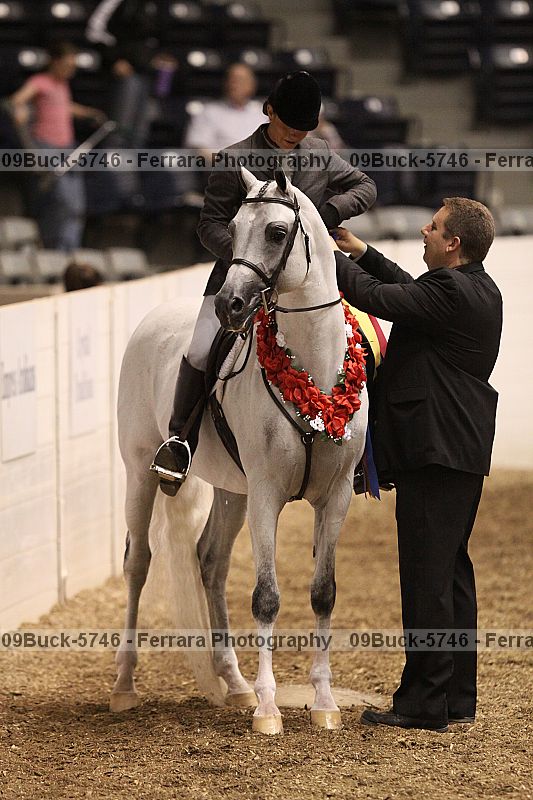 Proof 09buck-5746