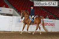 09buck-5747 proof