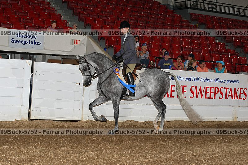 Proof 09buck-5752