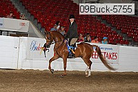 09buck-5755 proof