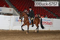 09buck-5757 proof