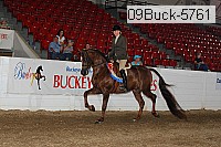 09buck-5761 proof